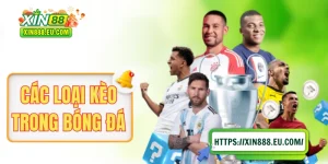 Các Loại Kèo Trong Bóng Đá Thường Gặp Và Giải Thích Chi Tiết