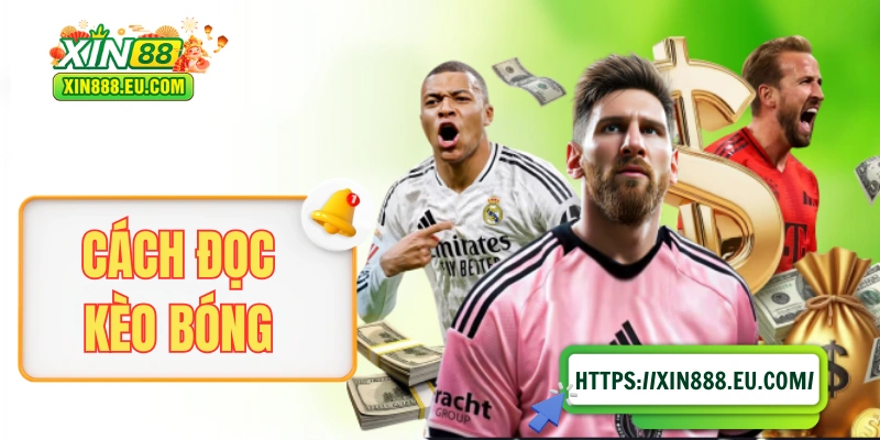 Cách Đọc Kèo Bóng - Hướng Dẫn Người Mới Dễ Về Bờ Mỗi Ngày