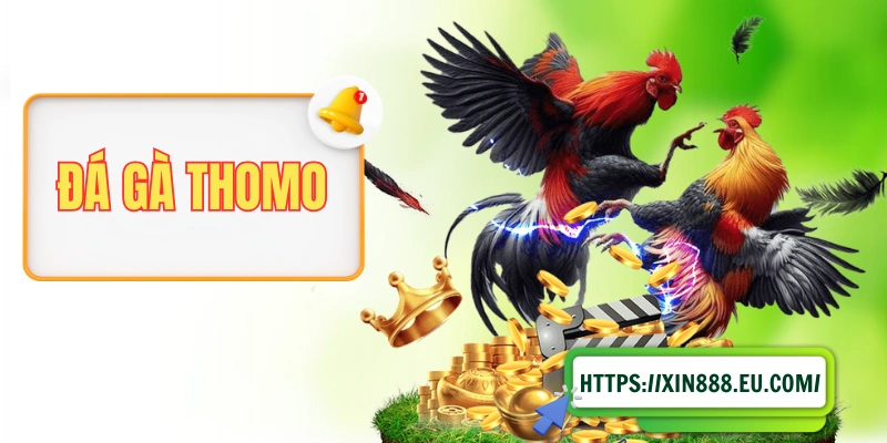 Đá Gà Thomo - Nghệ Thuật Chọi Kê Đậm Chất Đông Nam Á